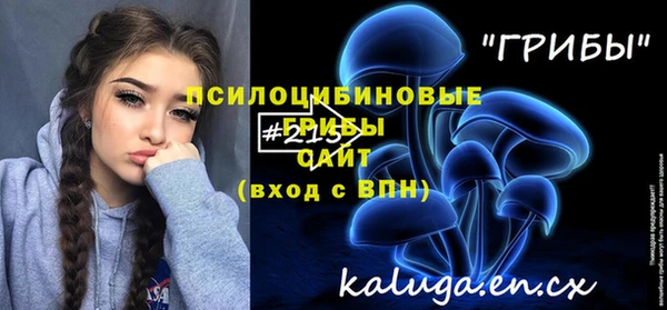 а пвп мука Алзамай